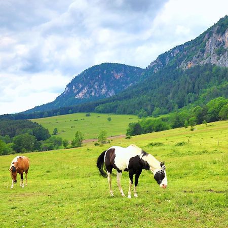 Glamping Hohe Wand - Zelt Mit Sternenfenster Und Whirlpool Hotel Maiersdorf Ngoại thất bức ảnh