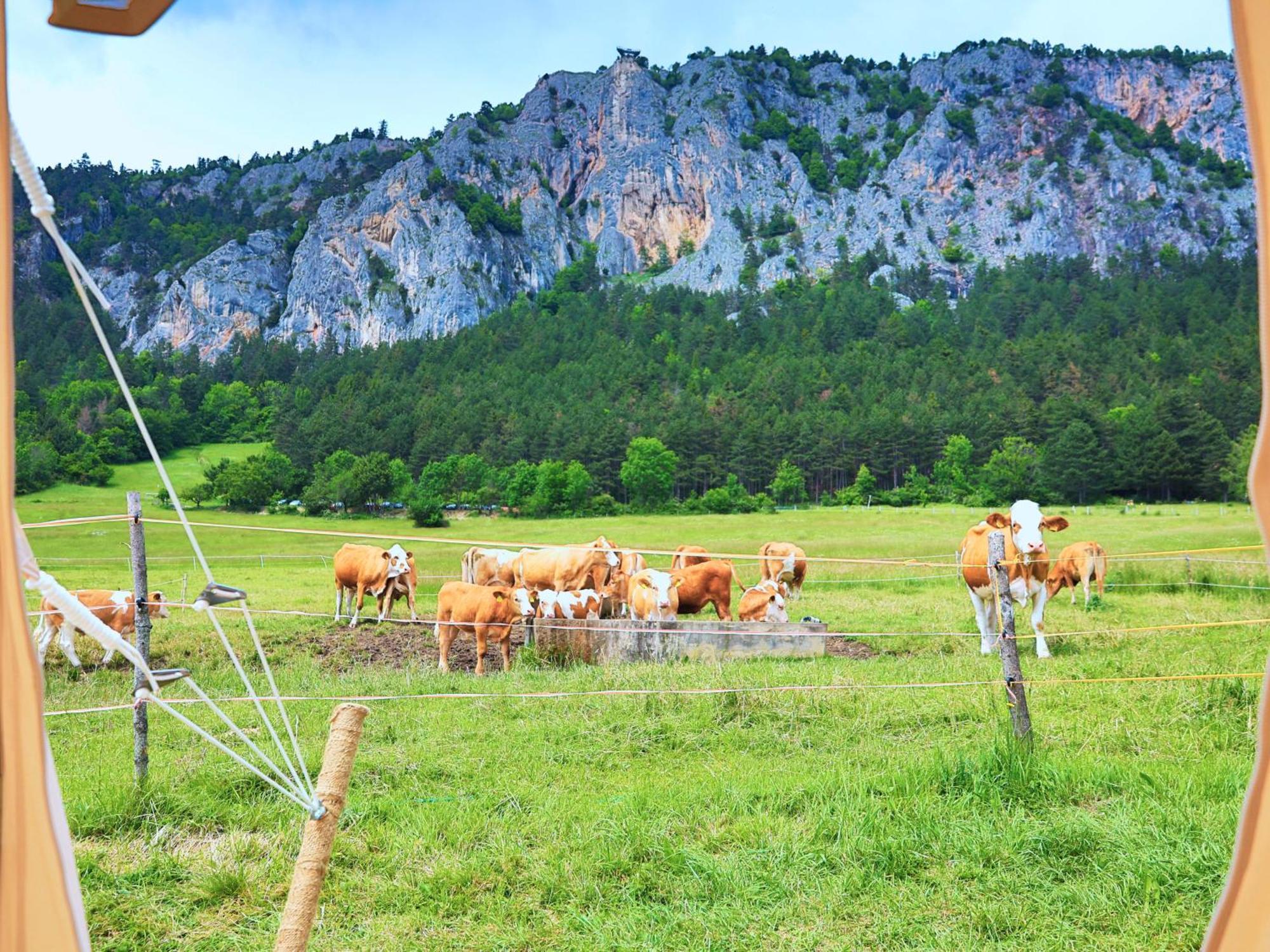 Glamping Hohe Wand - Zelt Mit Sternenfenster Und Whirlpool Hotel Maiersdorf Ngoại thất bức ảnh
